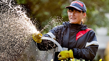 Sodexo employee watering a garden